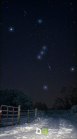 Snowy Orion