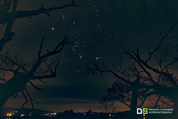 Reach for the Stars