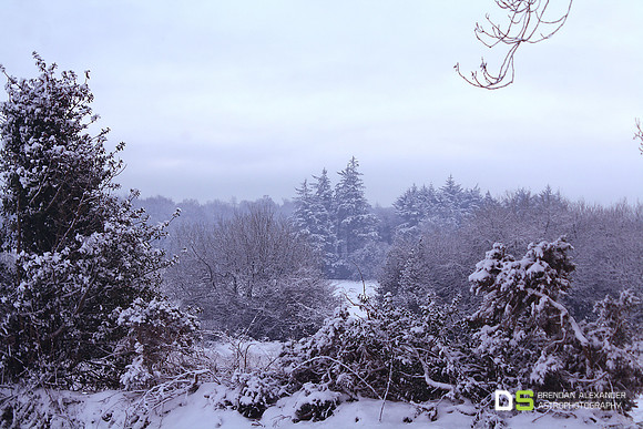 Winter Wounder Land