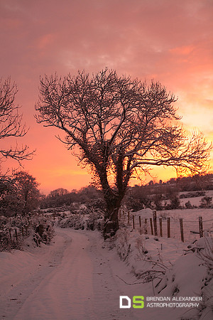 Winter Sunset